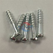 非標草莓视频在线观看网站的應用領域有哪些呢？
