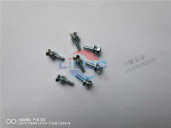 不鏽鋼平頭草莓视频在线观看网站定製